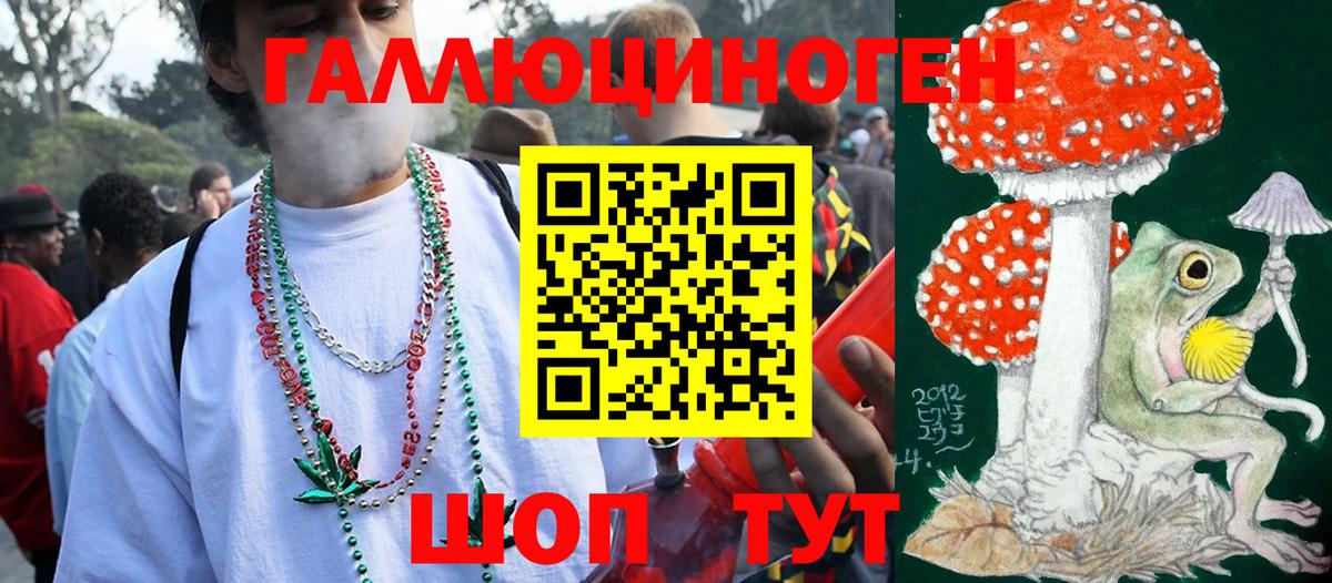 Псилоцибиновые грибы мицелий Лысьва