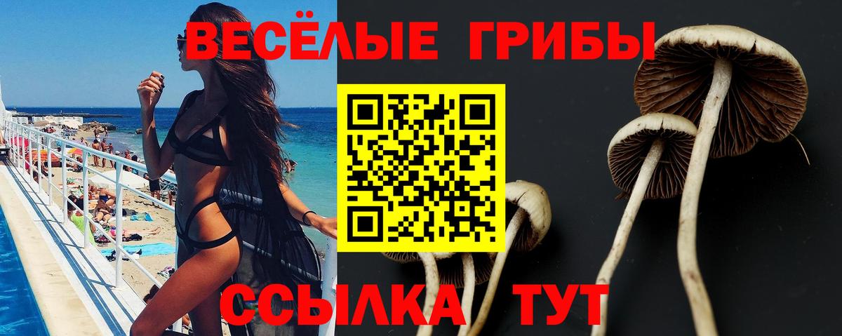 Галлюциногенные грибы ЛСД  Вход с VPN  Галлюциногенные грибы GOLDEN TEACHER  Лысьва 
